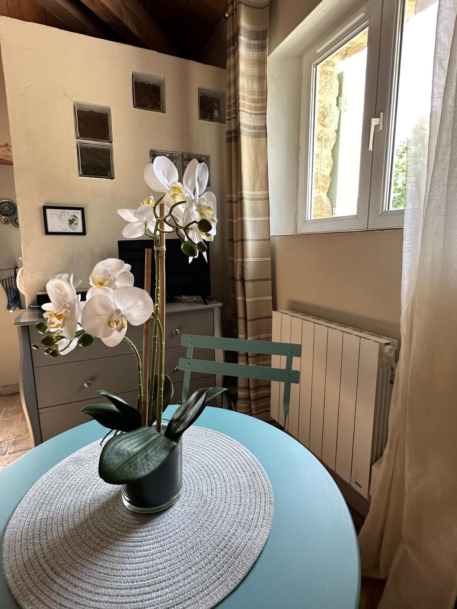 Maisonnette Independante Au Calme Dans Un Grand Jardin Châteauneuf-du-Rhône Extérieur photo