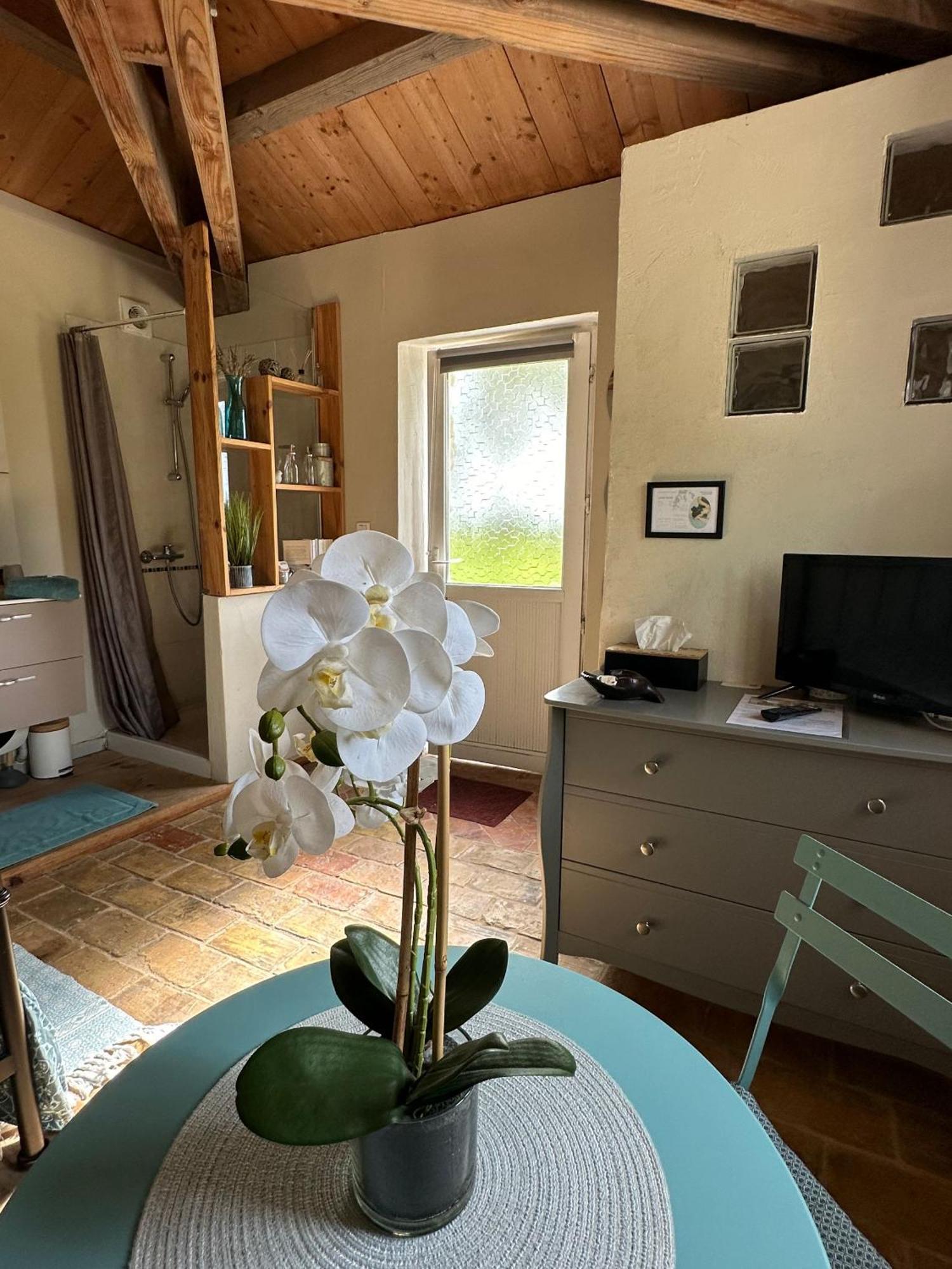 Maisonnette Independante Au Calme Dans Un Grand Jardin Châteauneuf-du-Rhône Extérieur photo