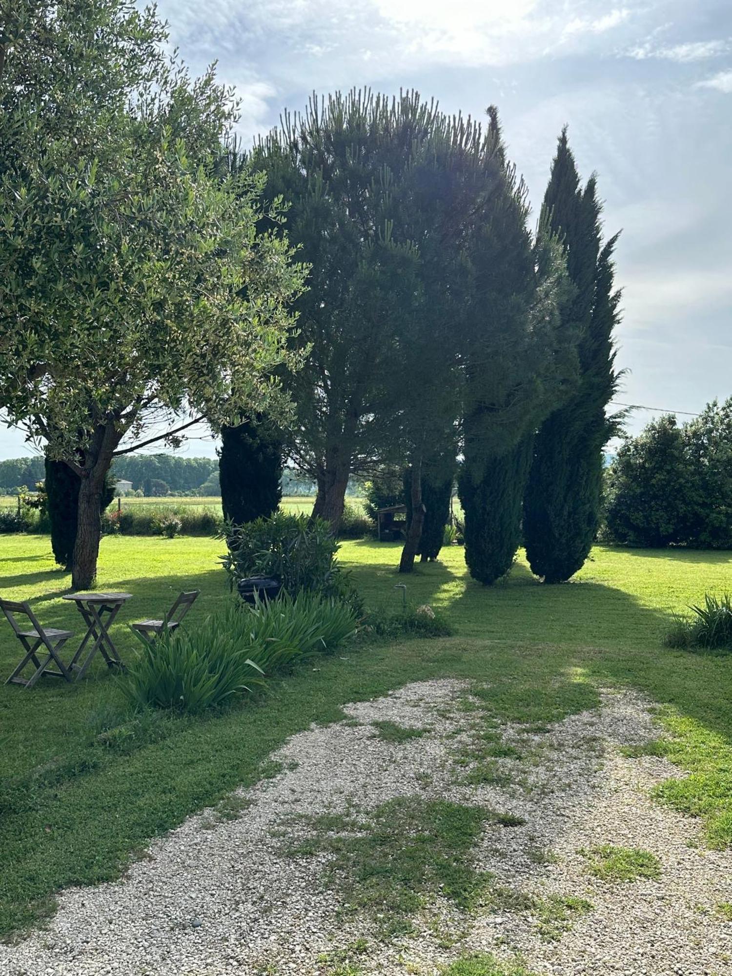 Maisonnette Independante Au Calme Dans Un Grand Jardin Châteauneuf-du-Rhône Extérieur photo