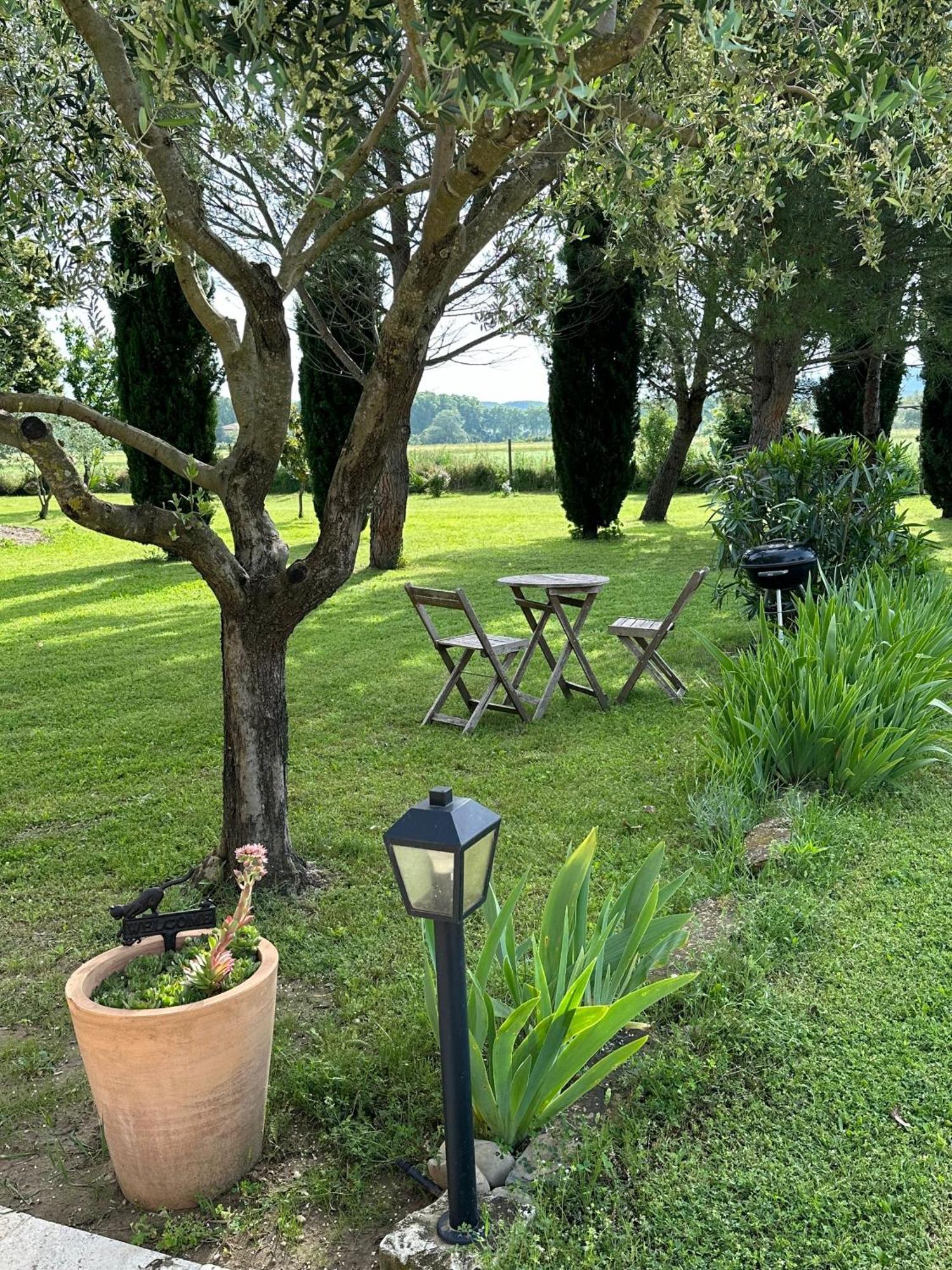 Maisonnette Independante Au Calme Dans Un Grand Jardin Châteauneuf-du-Rhône Extérieur photo