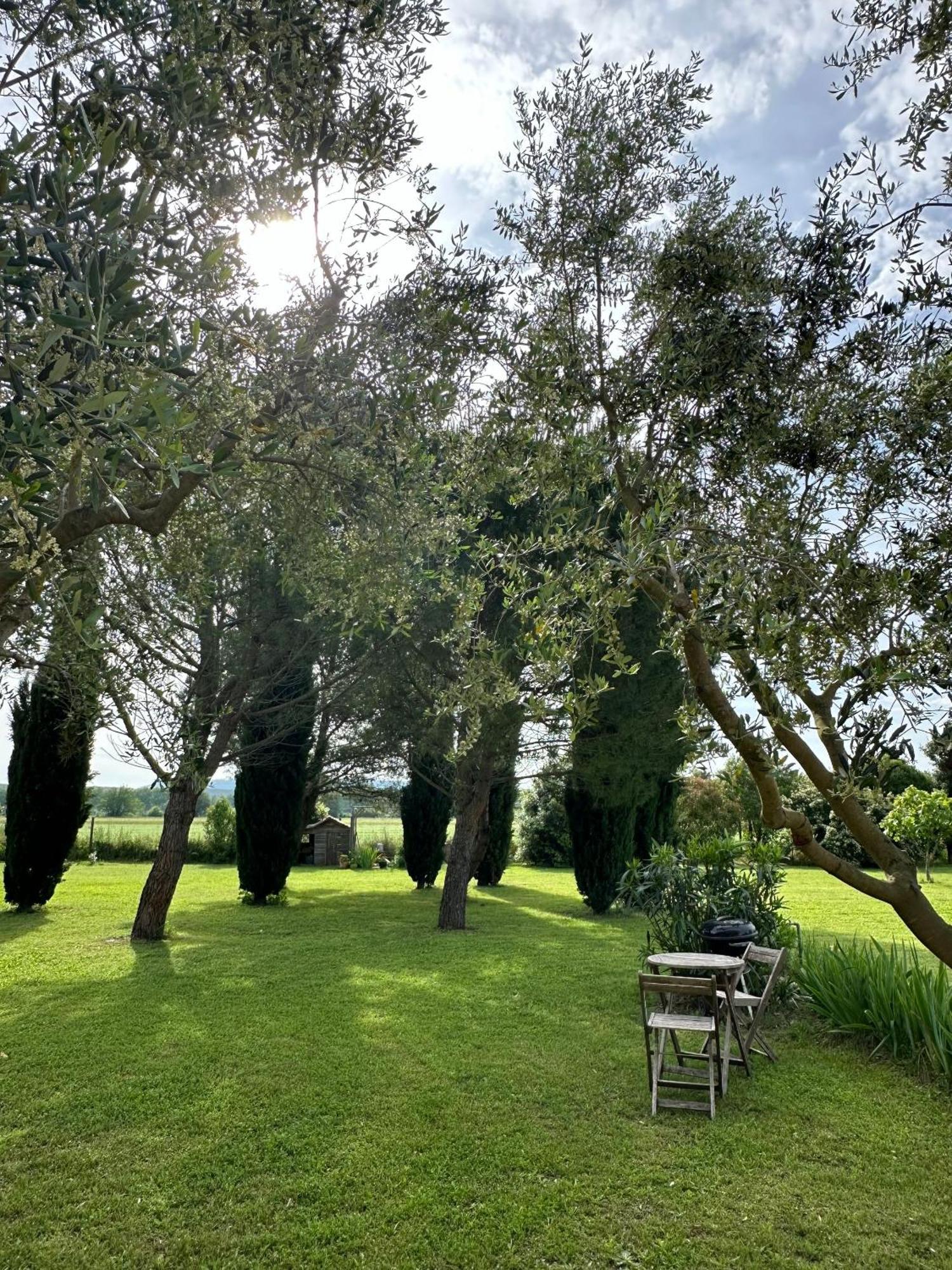 Maisonnette Independante Au Calme Dans Un Grand Jardin Châteauneuf-du-Rhône Extérieur photo