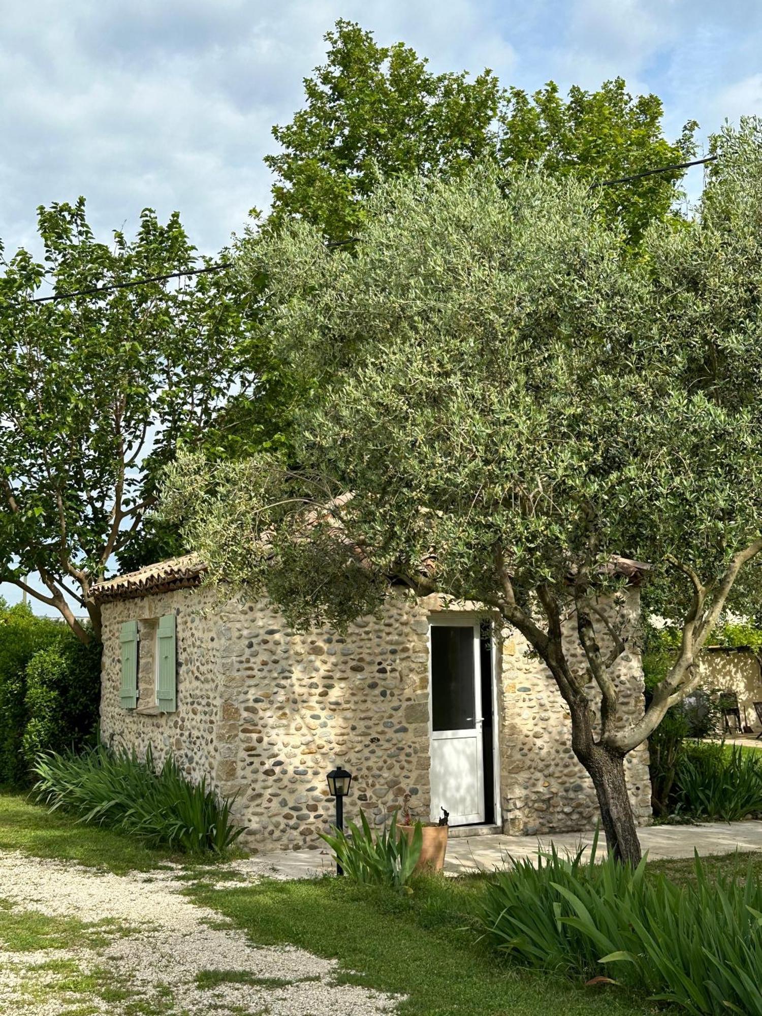 Maisonnette Independante Au Calme Dans Un Grand Jardin Châteauneuf-du-Rhône Extérieur photo