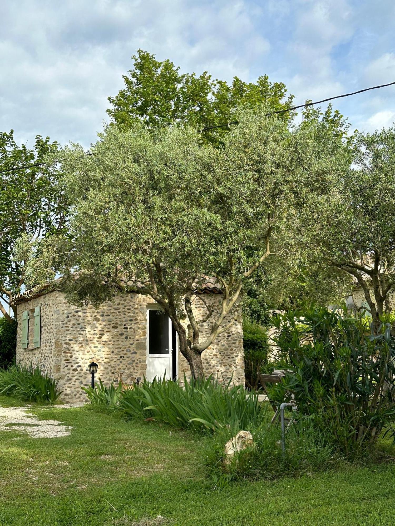 Maisonnette Independante Au Calme Dans Un Grand Jardin Châteauneuf-du-Rhône Extérieur photo